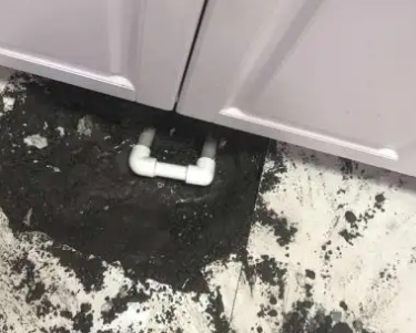 金明查漏水哪家好